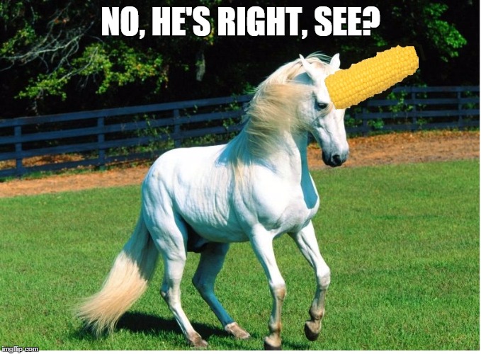 NO, HE'S RIGHT, SEE? | made w/ Imgflip meme maker