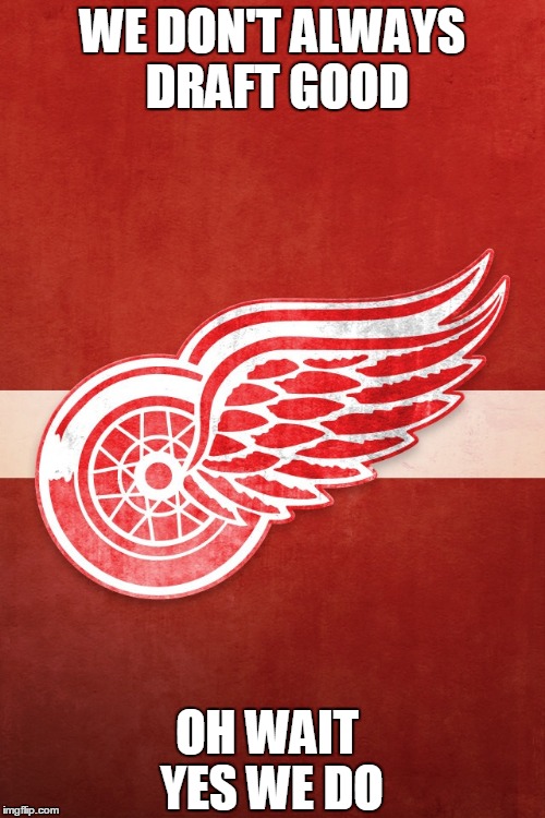 detroit red wings | WE DON'T ALWAYS DRAFT GOOD OH WAIT YES WE DO | image tagged in detroit red wings | made w/ Imgflip meme maker
