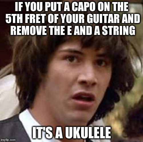 Conspiracy Keanu Meme | IF YOU PUT A CAPO ON THE 5TH FRET OF YOUR GUITAR
AND REMOVE THE E AND A STRING IT'S A UKULELE | image tagged in memes,conspiracy keanu | made w/ Imgflip meme maker