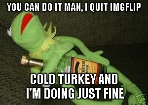 Drunk Kermit | YOU CAN DO IT MAN, I QUIT IMGFLIP COLD TURKEY AND I'M DOING JUST FINE | image tagged in drunk kermit,kermit,kermit the frog,sean connery  kermit | made w/ Imgflip meme maker
