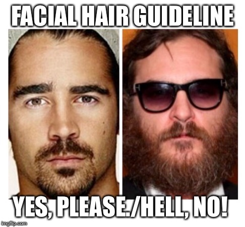 FACIAL HAIR GUIDELINE YES, PLEASE./HELL, NO! | image tagged in facial hair | made w/ Imgflip meme maker