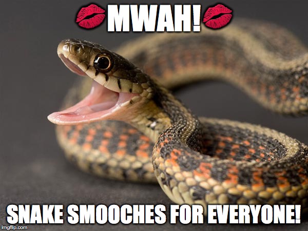 Snake Kisses | image tagged in mwah,snake smooches,snake smooches for everyone | made w/ Imgflip meme maker