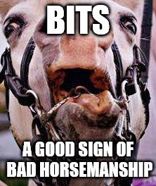 Horsemanship | BITS A GOOD SIGN OF BAD HORSEMANSHIP | image tagged in bits,horses,horsemanship,horse training | made w/ Imgflip meme maker