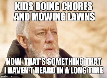 immigrants are filling voids,if you don't like that then you do the work. js | KIDS DOING CHORES AND MOWING LAWNS NOW  THAT'S SOMETHING THAT I HAVEN'T HEARD IN A LONG TIME | image tagged in memes,obi wan kenobi | made w/ Imgflip meme maker