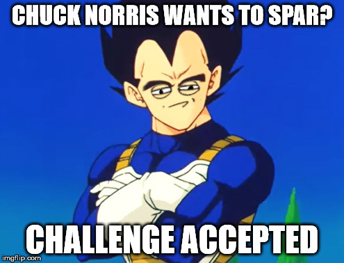 Challenge Accepted Vegeta | CHUCK NORRIS WANTS TO SPAR? CHALLENGE ACCEPTED | image tagged in challenge accepted,rage comics,vegeta,chuck norris,sfw | made w/ Imgflip meme maker