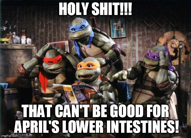 The turtles find out April has a side gig... | HOLY SHIT!!! THAT CAN'T BE GOOD FOR APRIL'S LOWER INTESTINES! | image tagged in turtles | made w/ Imgflip meme maker