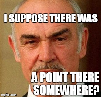 I SUPPOSE THERE WAS A POINT THERE SOMEWHERE? | image tagged in connery | made w/ Imgflip meme maker