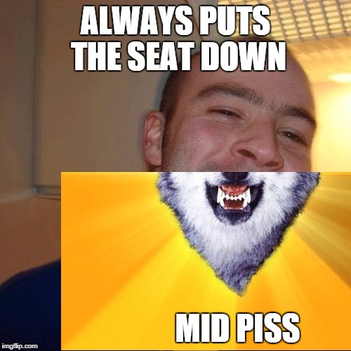 ALWAYS PUTS THE SEAT DOWN MID PISS | image tagged in good guy courage wolf | made w/ Imgflip meme maker