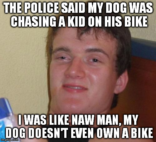 10 Guy Meme | THE POLICE SAID MY DOG WAS CHASING A KID ON HIS BIKE I WAS LIKE NAW MAN, MY DOG DOESN'T EVEN OWN A BIKE | image tagged in memes,10 guy | made w/ Imgflip meme maker