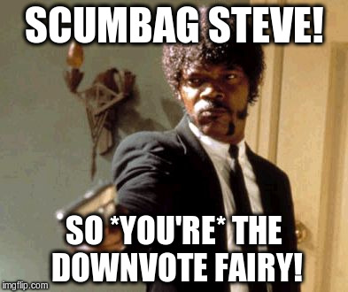 Say That Again I Dare You Meme | SCUMBAG STEVE! SO *YOU'RE* THE DOWNVOTE FAIRY! | image tagged in memes,say that again i dare you | made w/ Imgflip meme maker