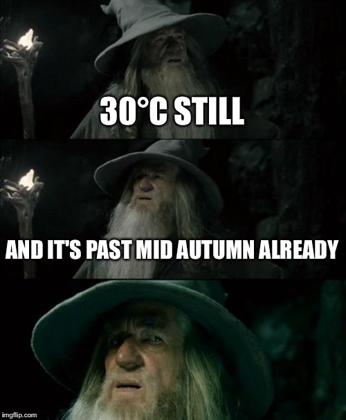 Confused Gandalf | 30°C STILL AND IT'S PAST MID AUTUMN ALREADY | image tagged in memes,confused gandalf | made w/ Imgflip meme maker