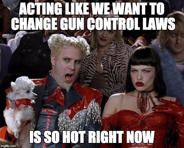 Mugatu So Hot Right Now | ACTING LIKE WE WANT TO CHANGE GUN CONTROL LAWS IS SO HOT RIGHT NOW | image tagged in memes,mugatu so hot right now | made w/ Imgflip meme maker