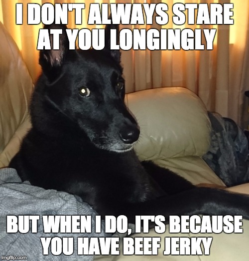 I DON'T ALWAYS STARE AT YOU LONGINGLY BUT WHEN I DO, IT'S BECAUSE YOU HAVE BEEF JERKY | image tagged in dog,the most interesting dog in the world | made w/ Imgflip meme maker