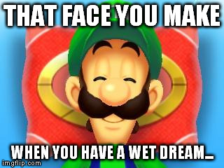 Smiling Luigi | THAT FACE YOU MAKE WHEN YOU HAVE A WET DREAM... | image tagged in smiling luigi | made w/ Imgflip meme maker