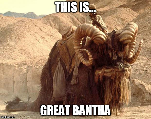 Banter Bantha | THIS IS... GREAT BANTHA | image tagged in banter bantha | made w/ Imgflip meme maker