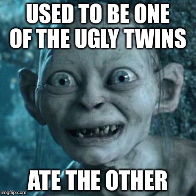 Gollum | USED TO BE ONE OF THE UGLY TWINS ATE THE OTHER | image tagged in memes,gollum | made w/ Imgflip meme maker