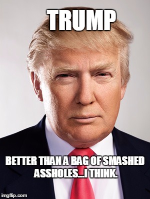 Donald Trump | TRUMP BETTER THAN A BAG OF SMASHED ASSHOLES...I THINK. | image tagged in donald trump | made w/ Imgflip meme maker
