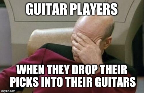 Guitar players | GUITAR PLAYERS WHEN THEY DROP THEIR PICKS INTO THEIR GUITARS | image tagged in memes,captain picard facepalm | made w/ Imgflip meme maker