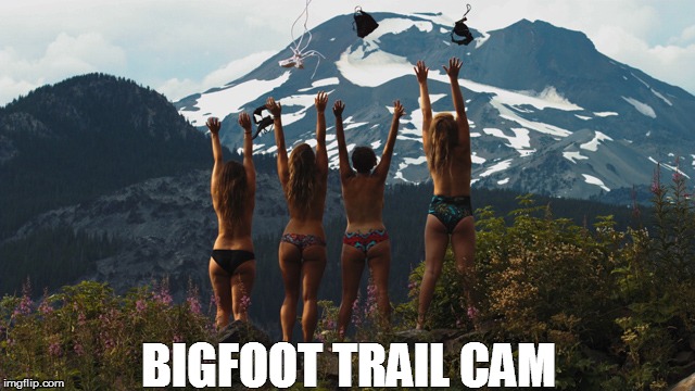 BIGFOOT TRAIL CAM | image tagged in bigfoot | made w/ Imgflip meme maker