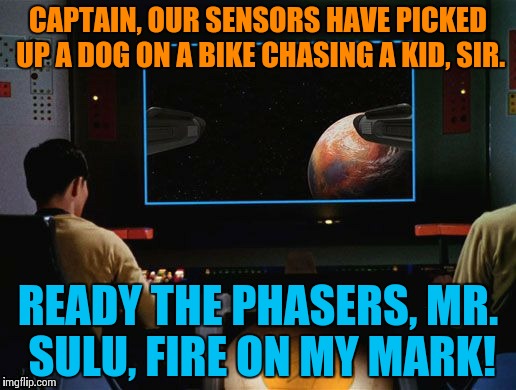 Star Trek Screen | CAPTAIN, OUR SENSORS HAVE PICKED UP A DOG ON A BIKE CHASING A KID, SIR. READY THE PHASERS, MR. SULU, FIRE ON MY MARK! | image tagged in star trek screen | made w/ Imgflip meme maker