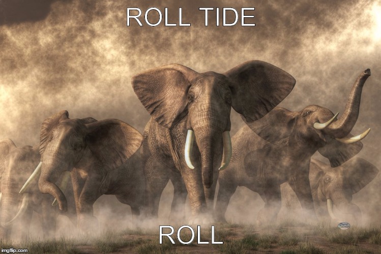 Roll Tide | ROLL TIDE ROLL | image tagged in football | made w/ Imgflip meme maker