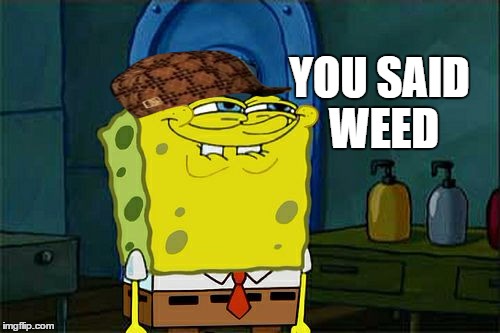 Don't You Squidward Meme | YOU SAID WEED | image tagged in memes,dont you squidward,scumbag | made w/ Imgflip meme maker