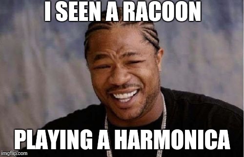 Yo Dawg Heard You | I SEEN A RACOON PLAYING A HARMONICA | image tagged in memes,yo dawg heard you | made w/ Imgflip meme maker