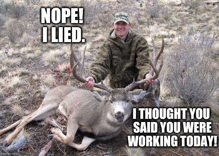 NOPE! I LIED. I THOUGHT YOU SAID YOU WERE WORKING TODAY! | image tagged in deerhunt,working,working today,big buck,hunter,stopped by your stand | made w/ Imgflip meme maker