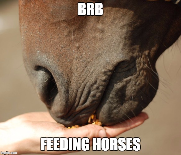 BRB FEEDING HORSES | made w/ Imgflip meme maker