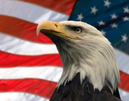 Freedom Eagle HD Blank Meme Template