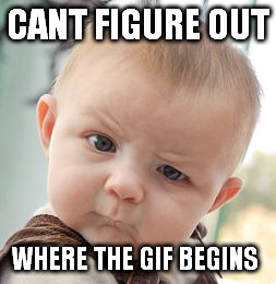 Skeptical Baby Meme | CANT FIGURE OUT WHERE THE GIF BEGINS | image tagged in memes,skeptical baby | made w/ Imgflip meme maker