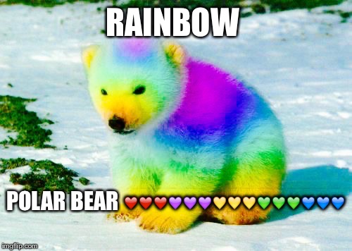 RAINBOW POLAR BEAR ❤️❤️❤️ | image tagged in rainbow | made w/ Imgflip meme maker