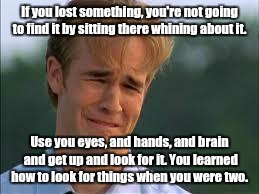 Whiners | If you lost something, you're not going to find it by sitting there whining about it. Use you eyes, and hands, and brain and get up and look | image tagged in whiners | made w/ Imgflip meme maker