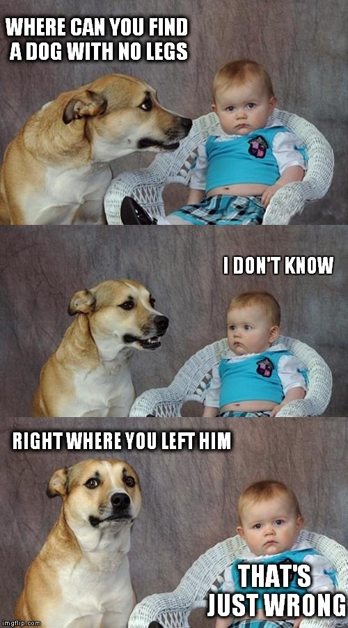 Dog with not legs | WHERE CAN YOU FIND A DOG WITH NO LEGS I DON'T KNOW RIGHT WHERE YOU LEFT HIM THAT'S JUST WRONG | image tagged in memes,dad joke dog,bad joke | made w/ Imgflip meme maker