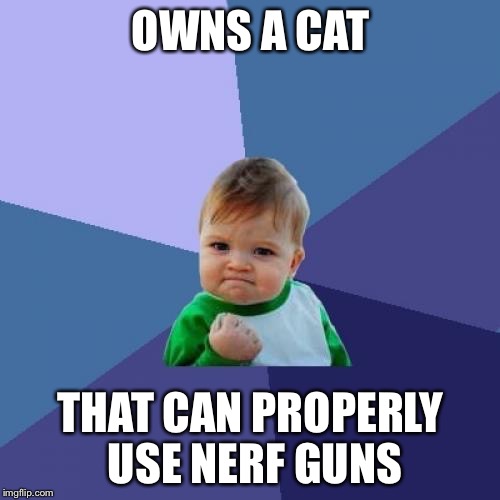 Success Kid Meme | OWNS A CAT THAT CAN PROPERLY USE NERF GUNS | image tagged in memes,success kid | made w/ Imgflip meme maker