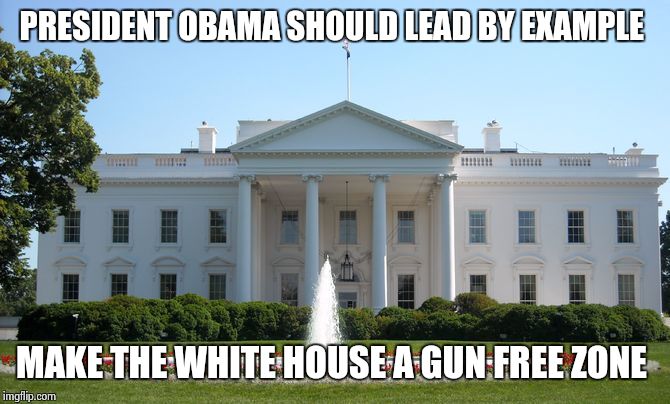 Do as I say not as I do | PRESIDENT OBAMA SHOULD LEAD BY EXAMPLE MAKE THE WHITE HOUSE A GUN FREE ZONE | image tagged in white house,gun control,obama,gun free zone | made w/ Imgflip meme maker