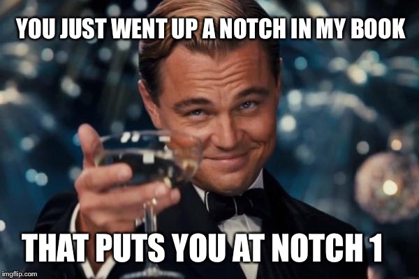 Leonardo Dicaprio Cheers Meme | YOU JUST WENT UP A NOTCH IN MY BOOK THAT PUTS YOU AT NOTCH 1 | image tagged in memes,leonardo dicaprio cheers | made w/ Imgflip meme maker