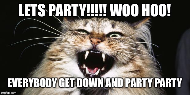 Party time baby!! | LETS PARTY!!!!! WOO HOO! EVERYBODY GET DOWN AND PARTY PARTY | image tagged in party animal,party time,woo hoo,fun fun,party hard | made w/ Imgflip meme maker