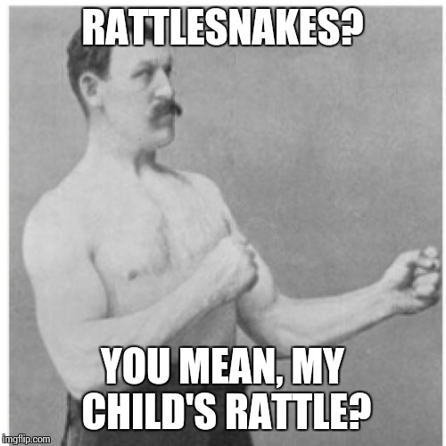 Overly Manly Man Meme | RATTLESNAKES? YOU MEAN, MY CHILD'S RATTLE? | image tagged in memes,overly manly man | made w/ Imgflip meme maker