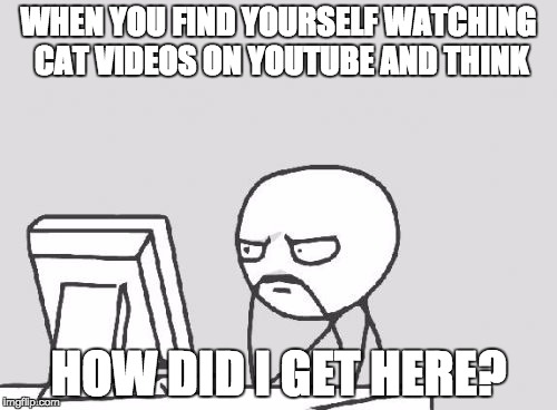 Computer Guy Meme | WHEN YOU FIND YOURSELF WATCHING CAT VIDEOS ON YOUTUBE AND THINK HOW DID I GET HERE? | image tagged in memes,computer guy | made w/ Imgflip meme maker