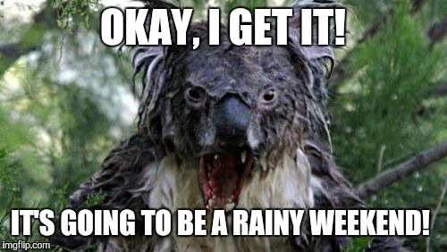 Angry Koala Meme | OKAY, I GET IT! IT'S GOING TO BE A RAINY WEEKEND! | image tagged in memes,angry koala | made w/ Imgflip meme maker