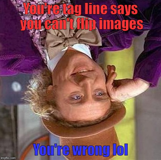 Creepy Condescending Wonka Meme | You're tag line says you can't flip images You're wrong lol | image tagged in memes,creepy condescending wonka | made w/ Imgflip meme maker