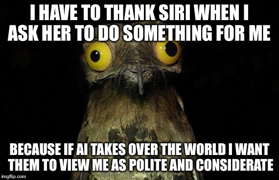 Weird Stuff I Do Potoo | I HAVE TO THANK SIRI WHEN I ASK HER TO DO SOMETHING FOR ME BECAUSE IF AI TAKES OVER THE WORLD I WANT THEM TO VIEW ME AS POLITE AND CONSIDERA | image tagged in memes,weird stuff i do potoo,AdviceAnimals | made w/ Imgflip meme maker