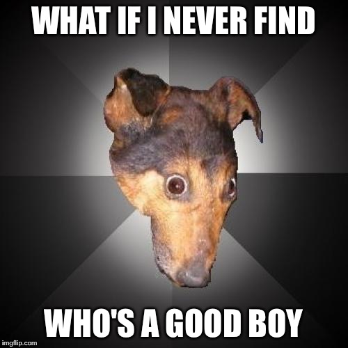 Depression Dog Meme | WHAT IF I NEVER FIND WHO'S A GOOD BOY | image tagged in memes,depression dog | made w/ Imgflip meme maker