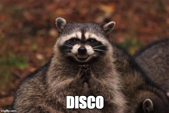 Evil racoon | DISCO | image tagged in evil racoon | made w/ Imgflip meme maker