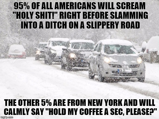 Winter Driving | 95% OF ALL AMERICANS WILL SCREAM "HOLY SHIT!" RIGHT BEFORE SLAMMING INTO A DITCH ON A SLIPPERY ROAD THE OTHER 5% ARE FROM NEW YORK AND WILL  | image tagged in winter driving | made w/ Imgflip meme maker