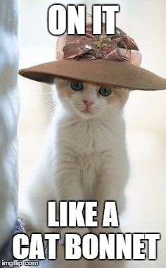Cat Bonnet | ON IT LIKE A CAT BONNET | image tagged in predictive text,cat,bonnet,cat bonnet,car bonnet | made w/ Imgflip meme maker