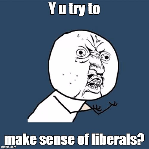 Y U No Meme | Y u try to make sense of liberals? | image tagged in memes,y u no | made w/ Imgflip meme maker