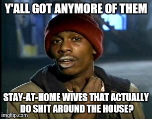 Y'all Got Any More Of That | Y'ALL GOT ANYMORE OF THEM STAY-AT-HOME WIVES THAT ACTUALLY DO SHIT AROUND THE HOUSE? | image tagged in memes,yall got any more of | made w/ Imgflip meme maker