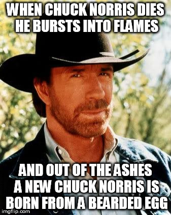 The Bearded Phoenix | WHEN CHUCK NORRIS DIES HE BURSTS INTO FLAMES AND OUT OF THE ASHES A NEW CHUCK NORRIS IS BORN FROM A BEARDED EGG | image tagged in chuck norris,phoenix | made w/ Imgflip meme maker